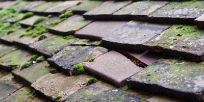 Goose Green roof repair costs